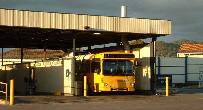 Adelaide Metro MAN SL200 PMCSA 1871